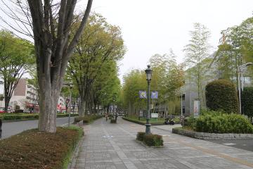 市役所前の歩道の写真