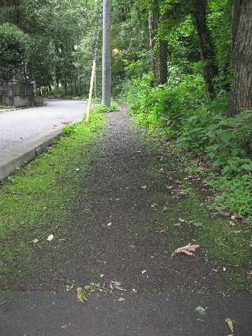 桜木神社沿いのウッドチップ道路