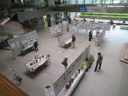 令和7年度春を感じる景観まちづくり展示会写真