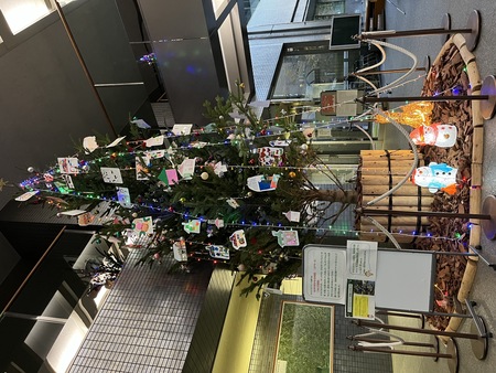 令和6年度クリスマスツリー展示写真