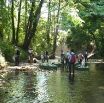 柳瀬川をきれいにする会の活動写真2