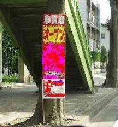 街路樹に付けられた立看板の写真
