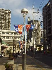 市街化区域の写真