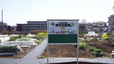 東所沢農場の写真