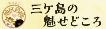 「三ケ島の魅せどころ」のタイトルとロゴ