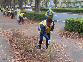 落ち葉掃きをする市長の写真