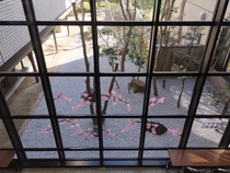 中庭と桜の装飾