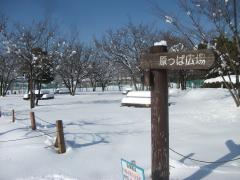 雪景色(デイキャンプ場)の写真