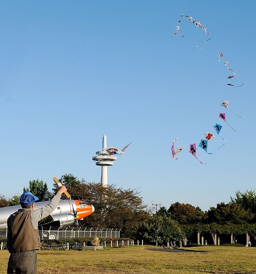 航空発祥の地「所沢」で天高く舞い上がる連凧の写真