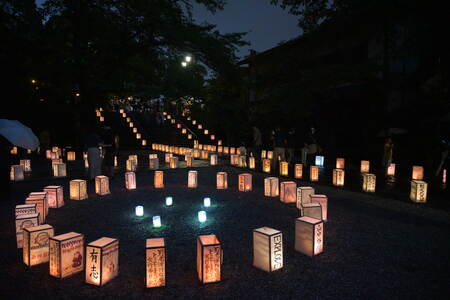 所澤神明社に並ぶ夜の行灯