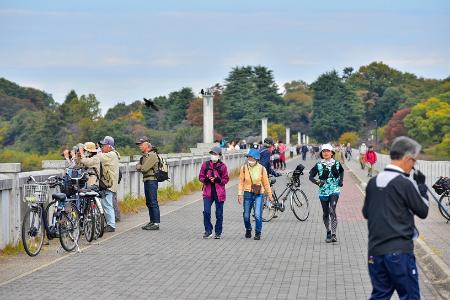 多くの人が行き交う狭山湖堤防