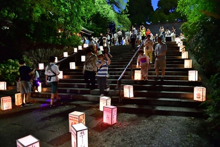 階段の列に設置された行灯の画像