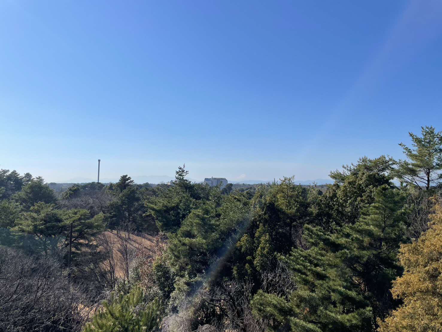 荒幡富士の山頂から見た景色