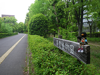 万葉植物園の写真1