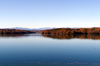 狭山湖からの風景