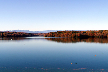 狭山湖からの風景