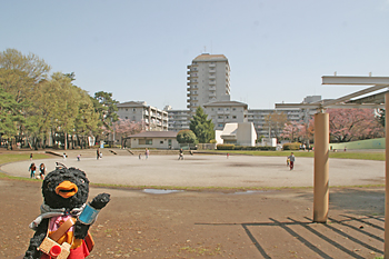 緑町中央公園の写真