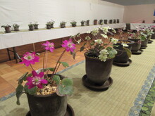 展示会場の写真