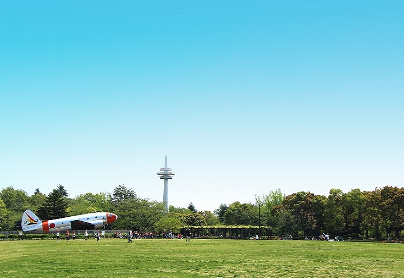 航空公園の写真