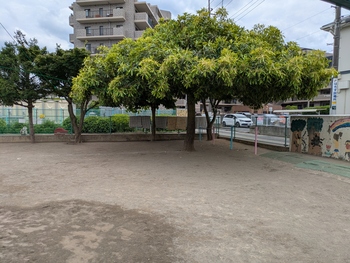 北秋津保育園の写真