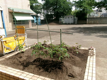 西新井保育園の写真