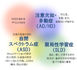 知的の遅れ、ADHD、ASD、SLDの4つがベン図のように重なりあう図です。