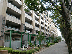新所沢けやき通り南団地