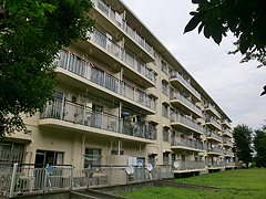 並木団地
