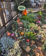 りきまこGardenさんのガーデン写真