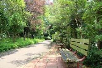 椿峰の緑道内のベンチの写真