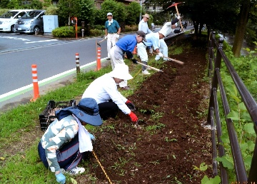 東所沢二丁目自治会　花いっぱいの会の写真1