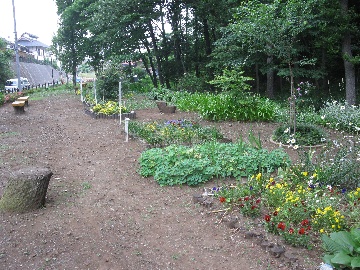 鳩峯公園（せせらぎ広場）1