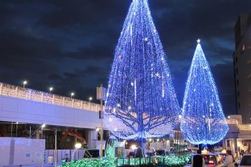 所沢駅西口イルミネーションの写真