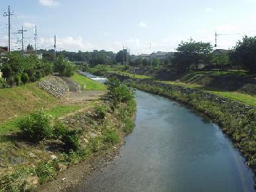 柳瀬川の写真
