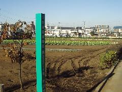 生産緑地地区の画像