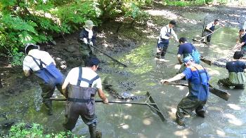 かい堀りの様子です