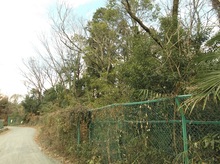 三ケ島一丁目里山保全地域の写真１