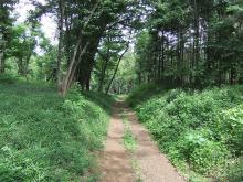 三ケ島二丁目里山保全地域（和幸の森周辺）の写真