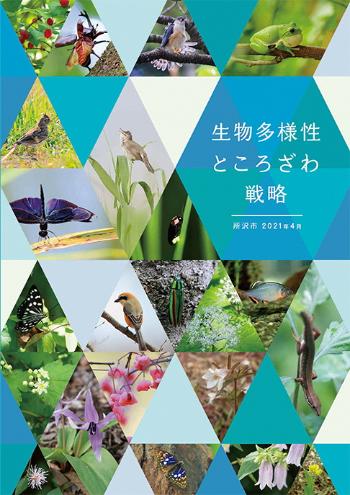 生物多様性ところざわ戦略表紙