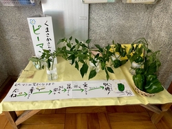 小手指小学校での食育展示写真2枚目