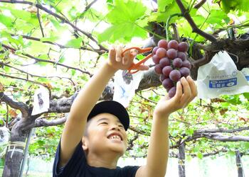 いただきだぜっ!