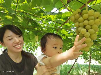 ママぶどう食べたいよー