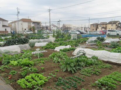 上新井農場の写真