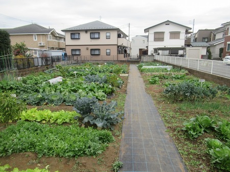 向陽町農場の写真