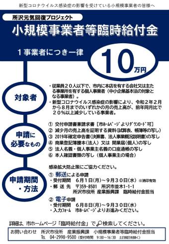 10 万 円 支給 方法