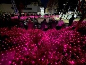 冬の新所沢駅を彩る イルミネーションの写真