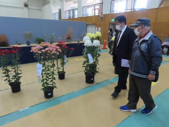 菊の展示をみる市長の写真