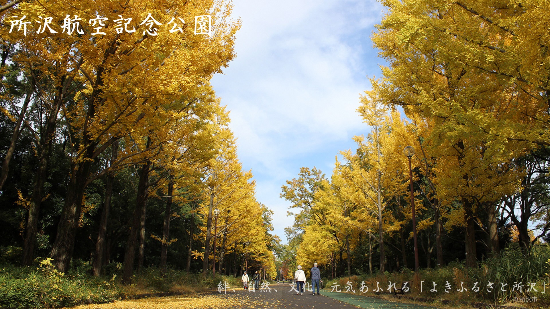 所沢市ホームページ ウェブ会議用バーチャル背景画像