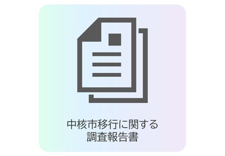 中核市移行に関する調査報告書