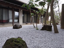 庭
